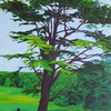 Davetree_010_500_pix_thumb