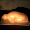 Metamorfosi_thumb