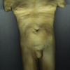 Altobusto_thumb