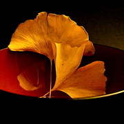 Dsc00830_card