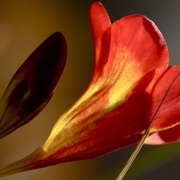 Morning__card