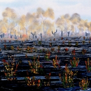Northcliffe_burnfoff__card