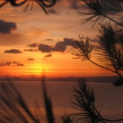 Sunset_card