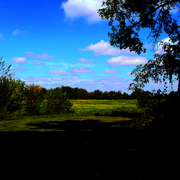 Dsc05250a_card