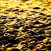 Golden_sandes_card