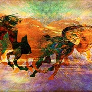 Dogonic_marzenia_card
