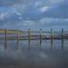 Beachpoles_square