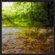 An-den-reussmeandern-a21080955_1__card