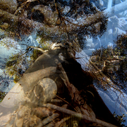 Img3_card
