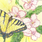 Scan0001_card