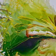 P1040724_card