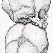 Babyskullsonstickcomplete1_card