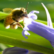 Dscn5244_card