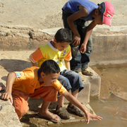 Kids_play_card