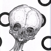 Newskull1_card