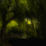 W-e-i-d-e-a20939332_1__card