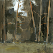 2004-pine-trees2_9mb_card