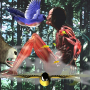 Spirit2_card