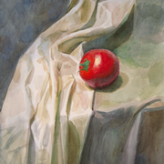 2007-tomato3mb_card