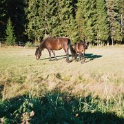 F1000015_card