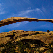 Landscapearch_card