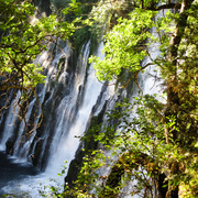 Falls_and_trees_card
