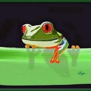 Tree_frog_card
