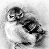 Csuri_thumb