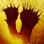 Twin_pollards_-_baston_fen_card