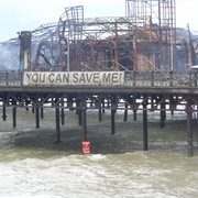 Sh105572_card