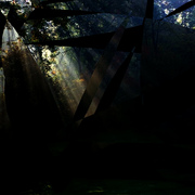 5061329466_6be55a8ea4_bneuneu_card