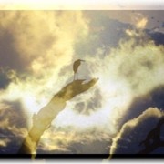 Sky_bird_with_frame_soft_edgers_card