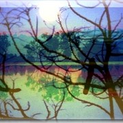 Moon_darwin_yelloe_waters_lawers_card