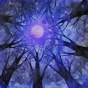 Trees_against_winternight2_web_card