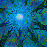 Trees_against_sky_of_spring2_web_card