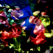 Img26_card