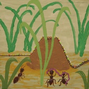 Img_0909_card