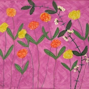 Img_0865_card