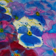 P1000025_card