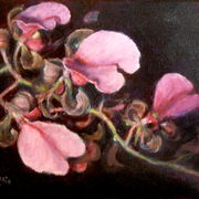 Pink_orchids__1_card