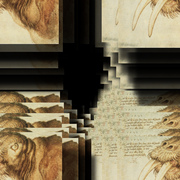 16512826_2__card