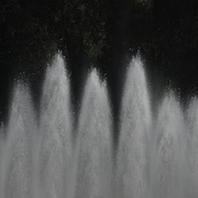 Water_is_life_card