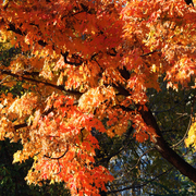 Img_8792b_card
