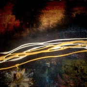 Fdgdeg__2__card