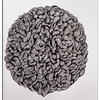 Brain_thumb