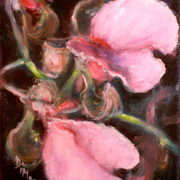 Pink_orchids__2_card