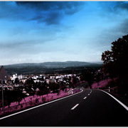 19245603_1__card