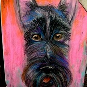 Carolinesdog__1__card