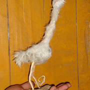 Dsc03716_card