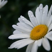 Img_1063_card